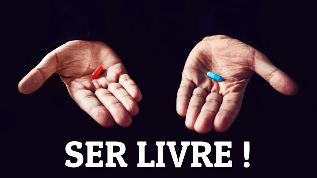 VÍDEO GRATUITO: Sair do Sistema e Ser Livre
