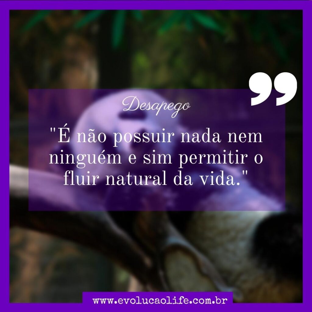 O que é o Desapego ou Soltar ? O Tao ?