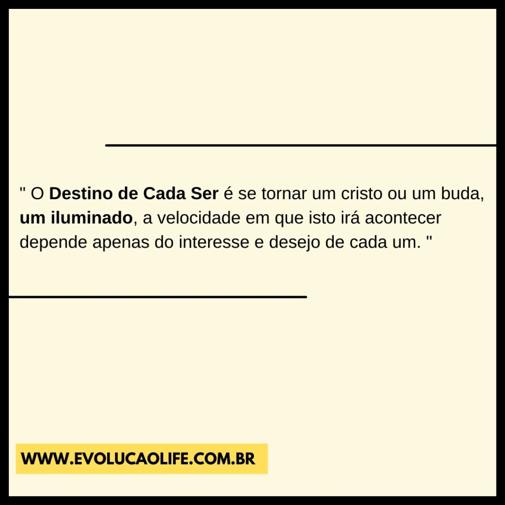 O Destino de Cada Ser