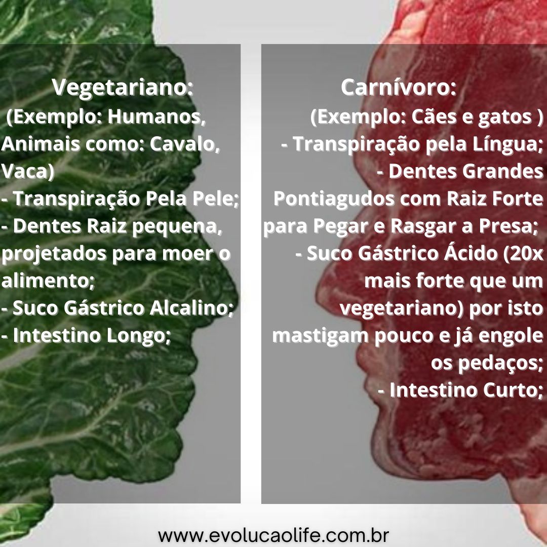 O Ser Humano é Vegetariano e Não Foi Projetado para Comer Carne ...