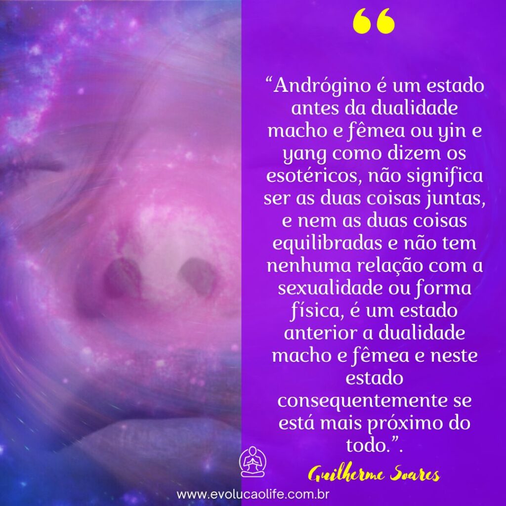 O que é um Andrógino ?