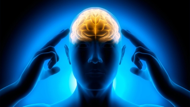 A Importância da Concentração e Como Ter mais Concentração na Vida